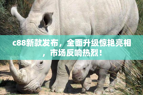 c88新款发布，全面升级惊艳亮相，市场反响热烈！