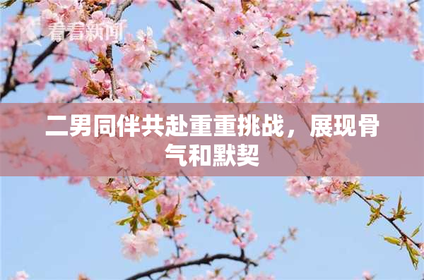 二男同伴共赴重重挑战，展现骨气和默契