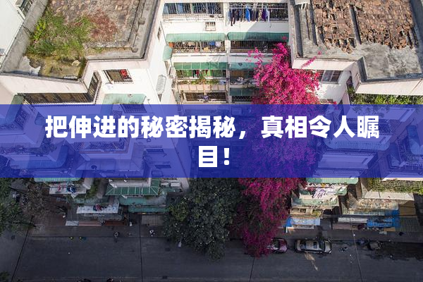 把伸进的秘密揭秘，真相令人瞩目！