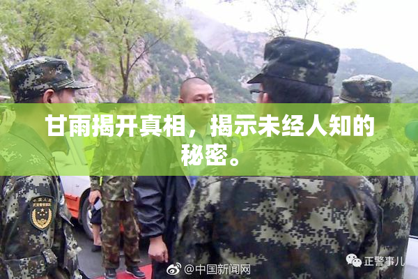 甘雨揭开真相，揭示未经人知的秘密。