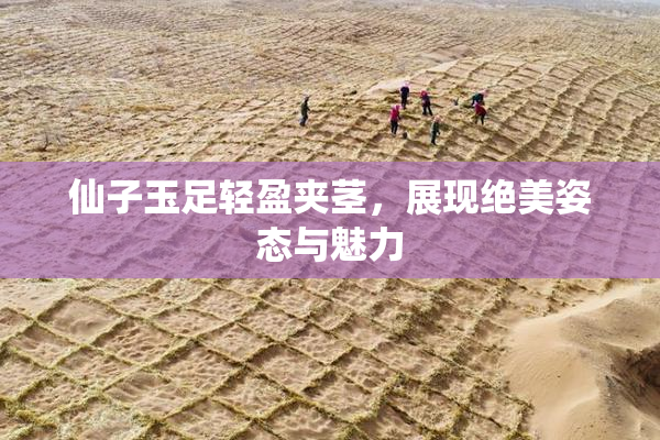 仙子玉足轻盈夹茎，展现绝美姿态与魅力