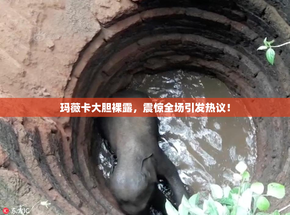 玛薇卡大胆裸露，震惊全场引发热议！