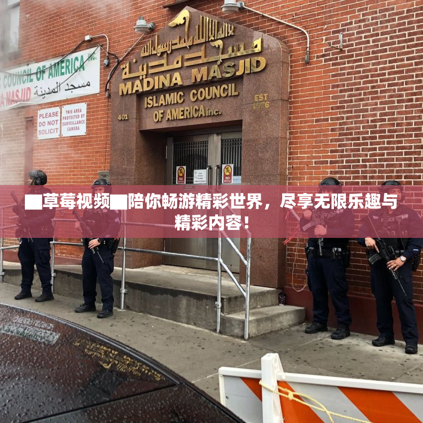 ▇草莓视频▇陪你畅游精彩世界，尽享无限乐趣与精彩内容！