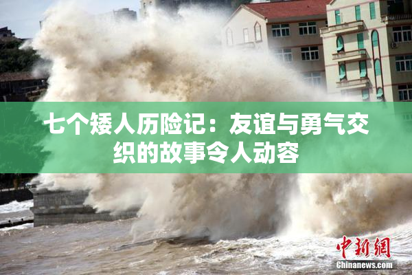 七个矮人历险记：友谊与勇气交织的故事令人动容