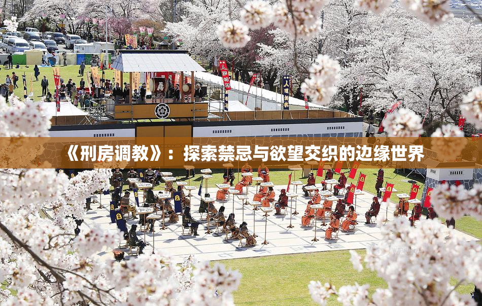 《刑房调教》：探索禁忌与欲望交织的边缘世界