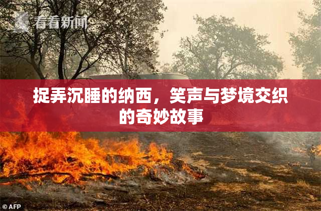 捉弄沉睡的纳西，笑声与梦境交织的奇妙故事