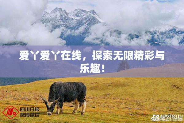 爱丫爱丫在线，探索无限精彩与乐趣！