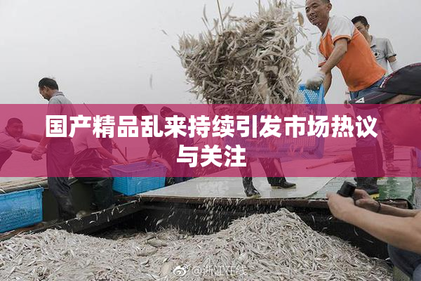 国产精品乱来持续引发市场热议与关注