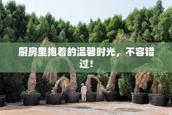 厨房里抱着的温馨时光，不容错过！