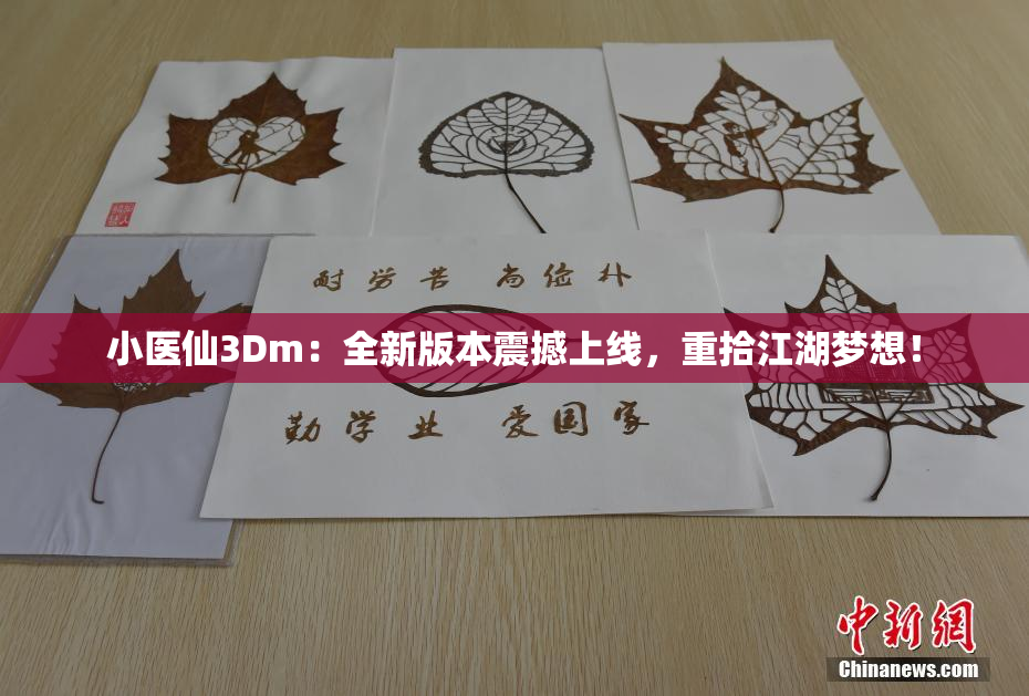 小医仙3Dm：全新版本震撼上线，重拾江湖梦想！