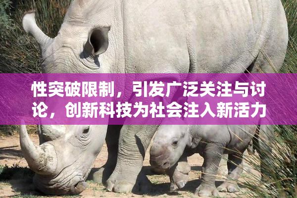 性突破限制，引发广泛关注与讨论，创新科技为社会注入新活力！