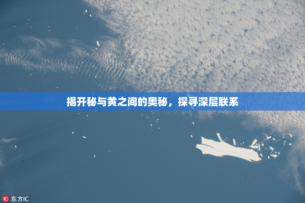 揭开秘与黄之间的奥秘，探寻深层联系