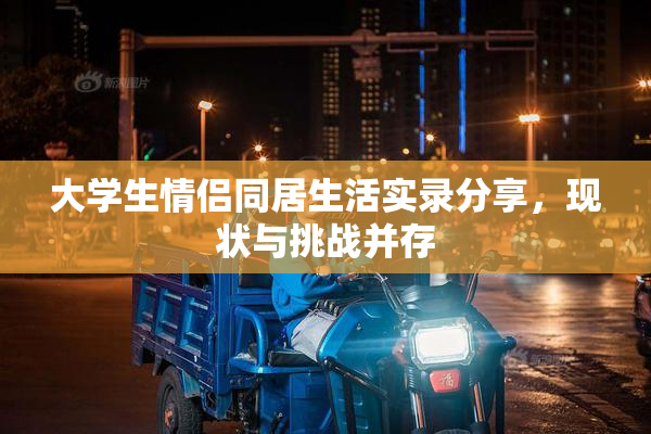 大学生情侣同居生活实录分享，现状与挑战并存