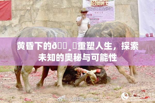 黄昏下的🌸‌重塑人生，探索未知的奥秘与可能性