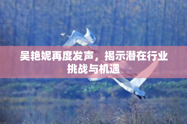 吴艳妮再度发声，揭示潜在行业挑战与机遇