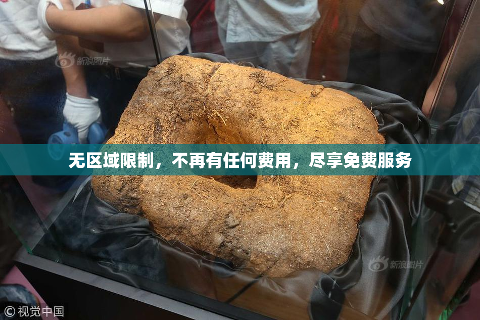无区域限制，不再有任何费用，尽享免费服务