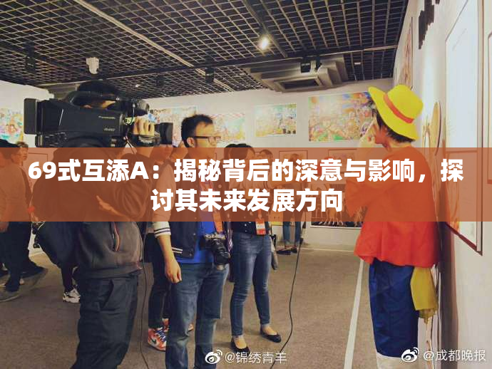 69式互添A：揭秘背后的深意与影响，探讨其未来发展方向