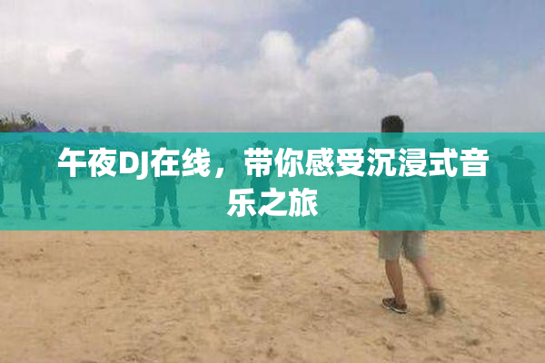 午夜DJ在线，带你感受沉浸式音乐之旅