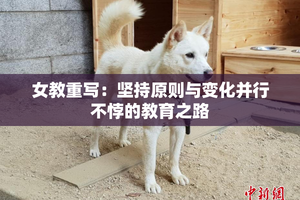 女教重写：坚持原则与变化并行不悖的教育之路