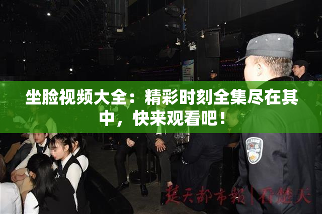 坐脸视频大全：精彩时刻全集尽在其中，快来观看吧！