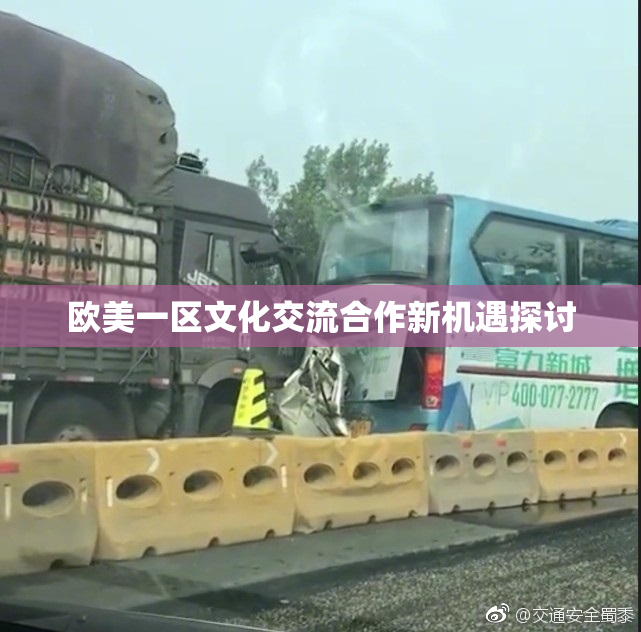欧美一区文化交流合作新机遇探讨