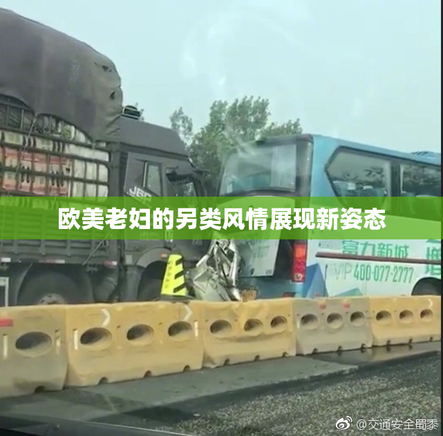 欧美老妇的另类风情展现新姿态