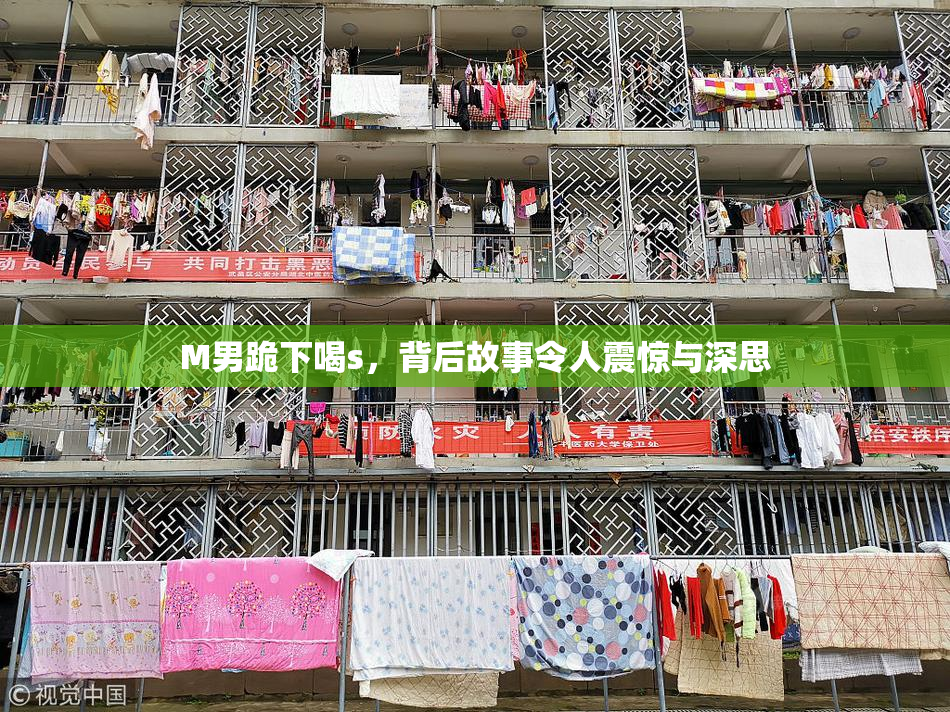 M男跪下喝s，背后故事令人震惊与深思