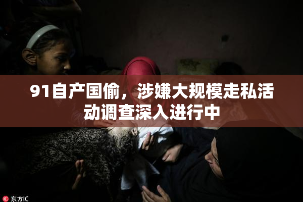 91自产国偷，涉嫌大规模走私活动调查深入进行中
