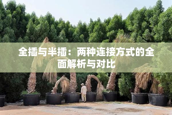 全插与半插：两种连接方式的全面解析与对比
