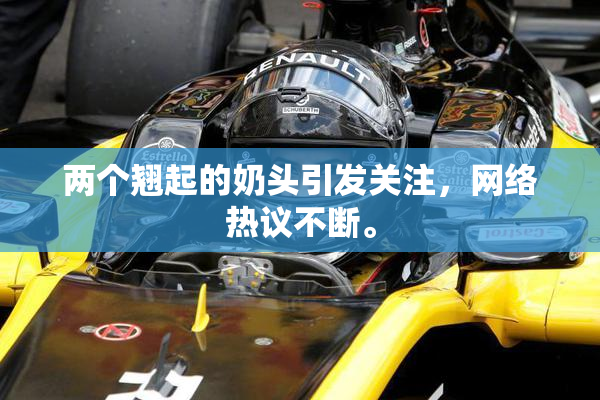两个翘起的奶头引发关注，网络热议不断。