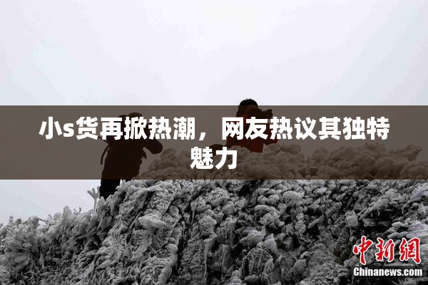 小s货再掀热潮，网友热议其独特魅力