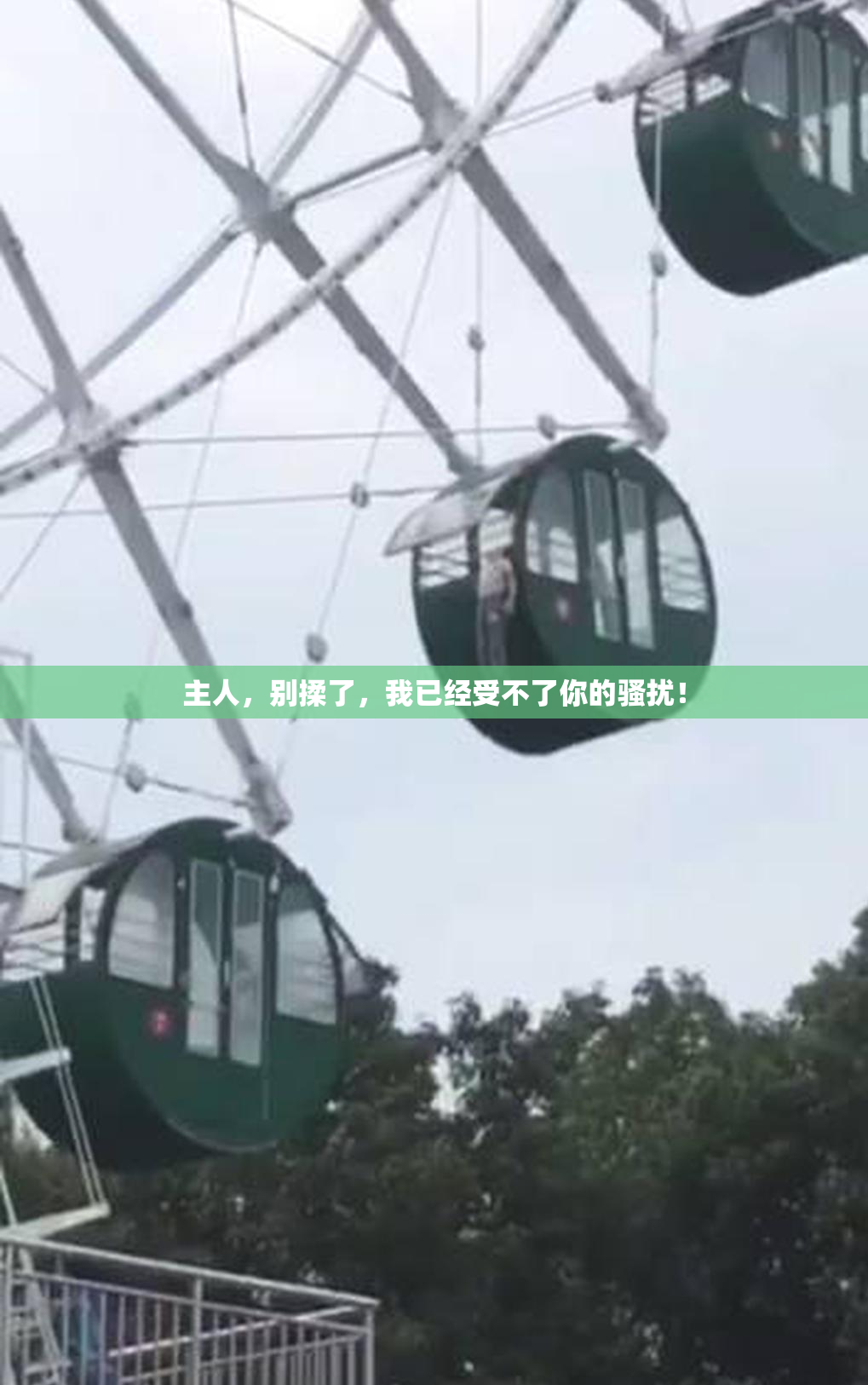 主人，别揉了，我已经受不了你的骚扰！