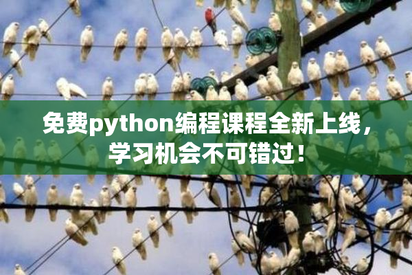 免费python编程课程全新上线，学习机会不可错过！