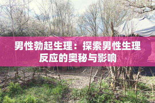 男性勃起生理：探索男性生理反应的奥秘与影响