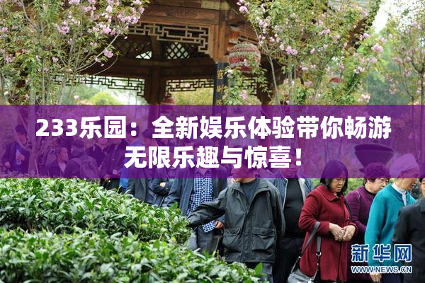 233乐园：全新娱乐体验带你畅游无限乐趣与惊喜！