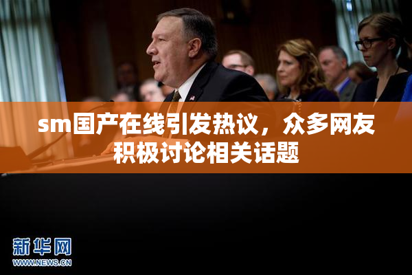sm国产在线引发热议，众多网友积极讨论相关话题