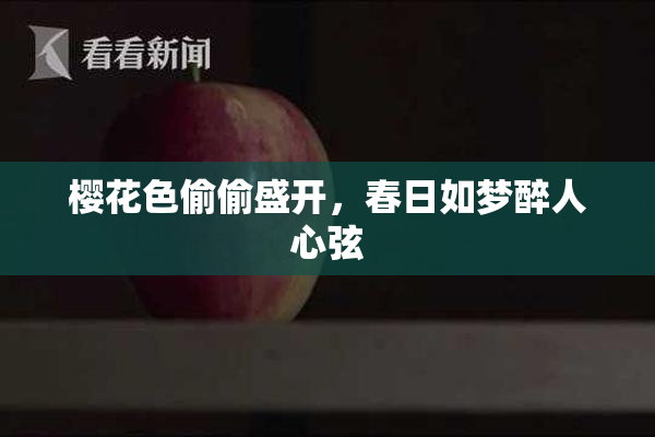 樱花色偷偷盛开，春日如梦醉人心弦