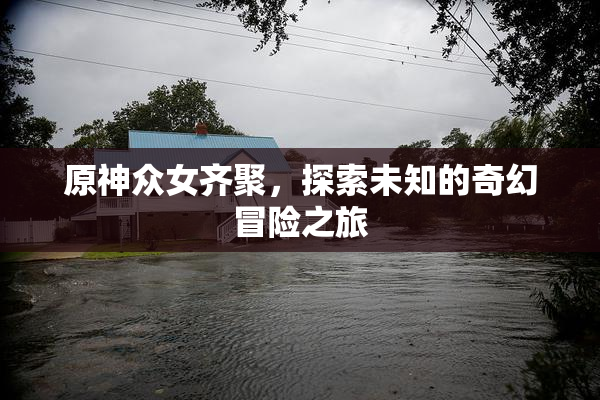 原神众女齐聚，探索未知的奇幻冒险之旅