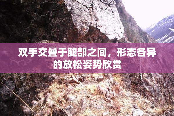 双手交叠于腿部之间，形态各异的放松姿势欣赏
