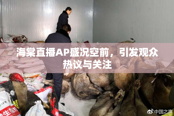 海棠直播AP盛况空前，引发观众热议与关注