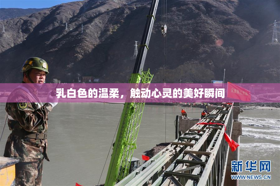乳白色的温柔，触动心灵的美好瞬间