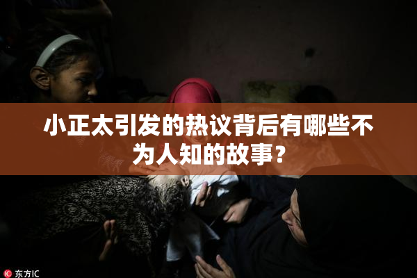 小正太引发的热议背后有哪些不为人知的故事？