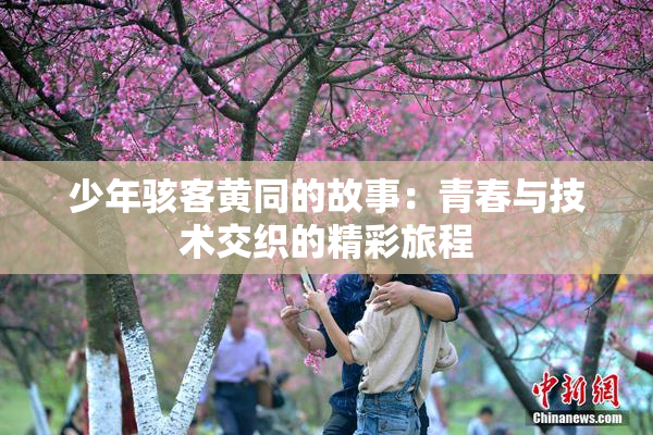 少年骇客黄同的故事：青春与技术交织的精彩旅程