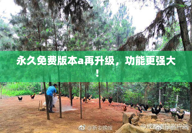 永久免费版本a再升级，功能更强大！