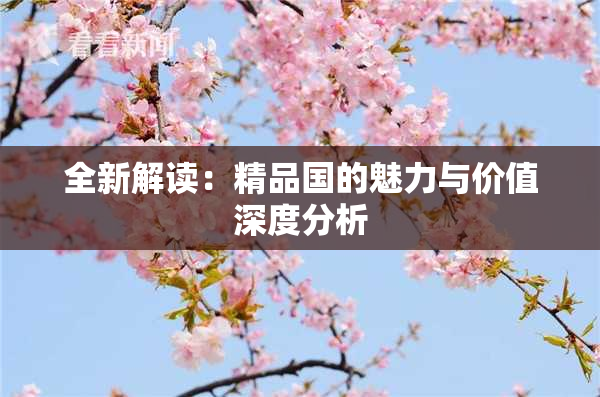 全新解读：精品国的魅力与价值深度分析