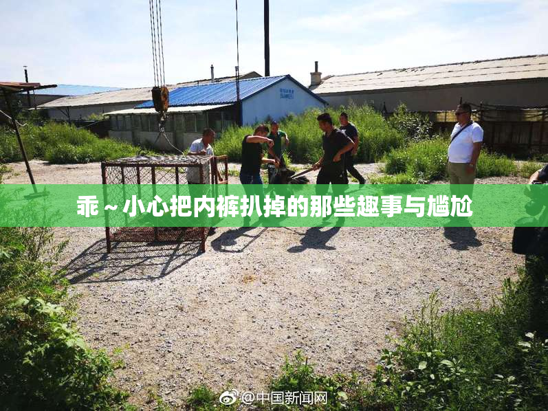 乖～小心把内裤扒掉的那些趣事与尴尬