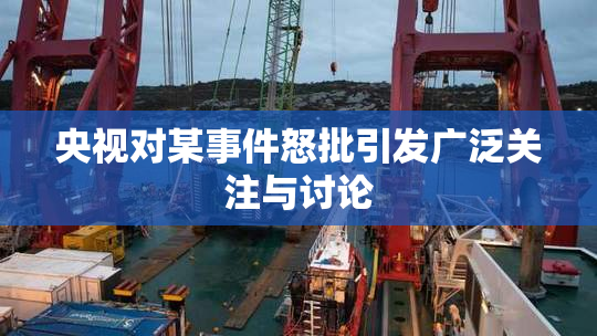 央视对某事件怒批引发广泛关注与讨论