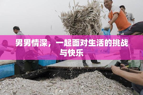 男男情深，一起面对生活的挑战与快乐