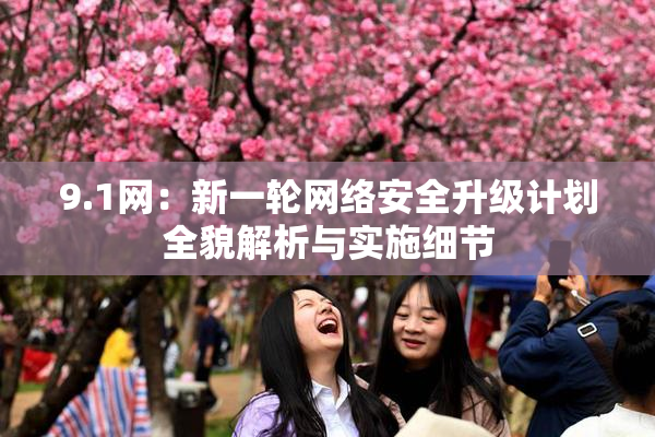 9.1网：新一轮网络安全升级计划全貌解析与实施细节