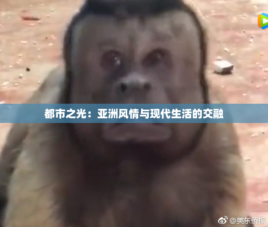 都市之光：亚洲风情与现代生活的交融